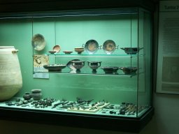 Museo de Arte Iberico el Cigarralejo 2008